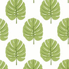 T13955 Monstera Palm Grove Apple Green Wallpaper by Thibaut