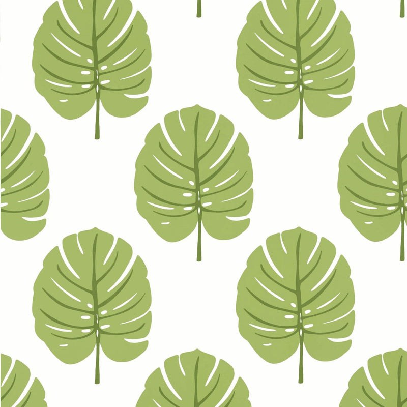T13955 Monstera Palm Grove Apple Green Wallpaper by Thibaut