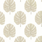 T13956 Monstera Palm Grove Beige Wallpaper by Thibaut