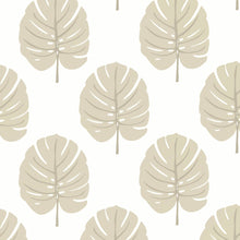 T13956 Monstera Palm Grove Beige Wallpaper by Thibaut