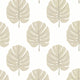 Monstera Palm Grove Beige Wallpaper by Thibaut