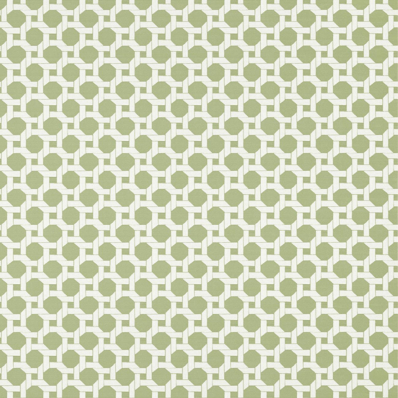 T13959 Charter Palm Grove Sage Wallpaper by Thibaut