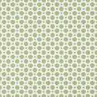 T13959 Charter Palm Grove Sage Wallpaper by Thibaut