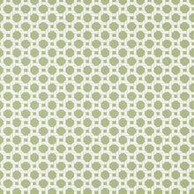 T13959 Charter Palm Grove Sage Wallpaper by Thibaut