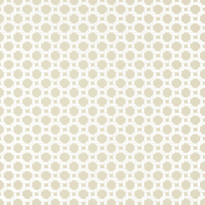 T13961 Charter Palm Grove Beige Wallpaper by Thibaut