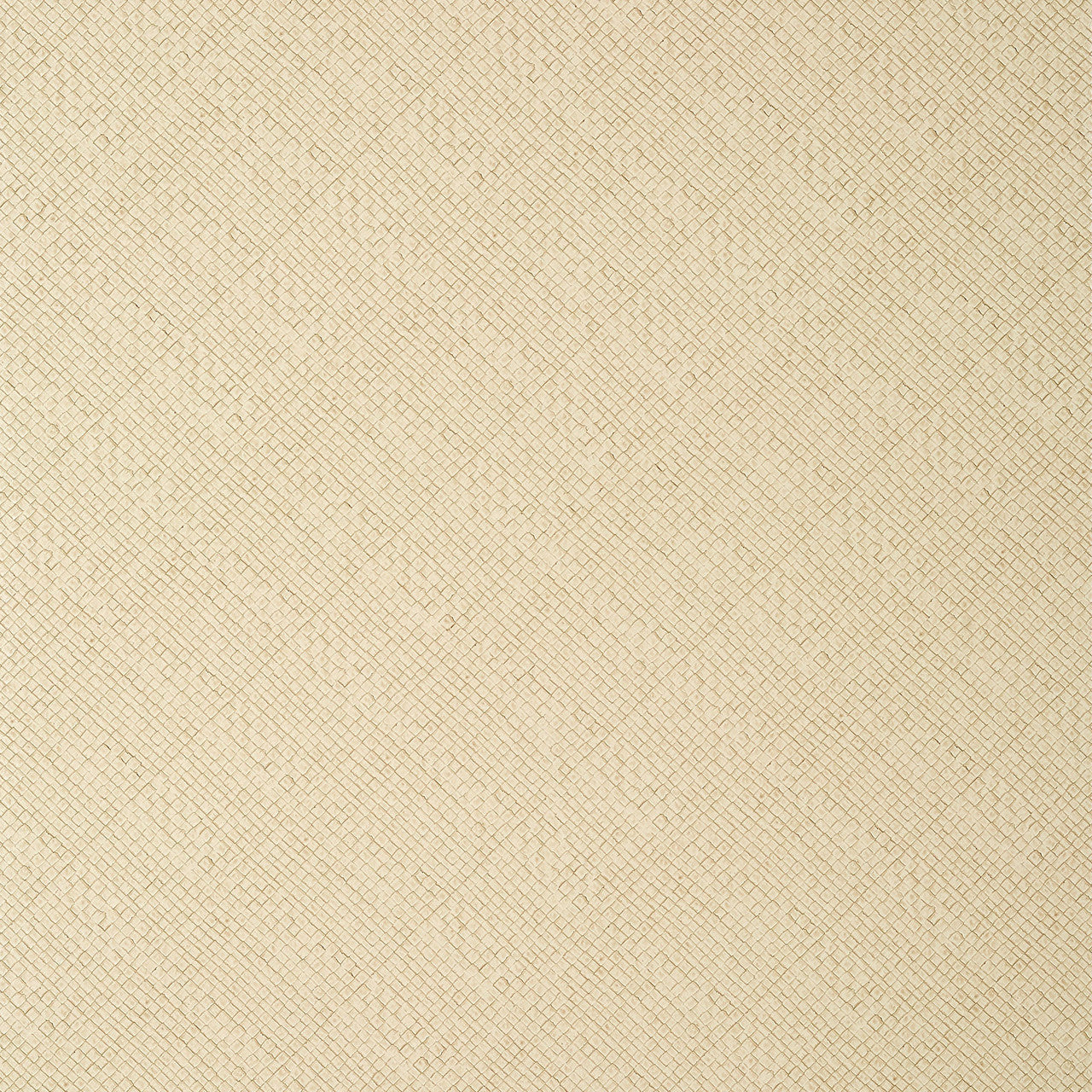 T14503 Jackson Weave Texture Resource 8 Cashmere Wallpaper by Thibaut