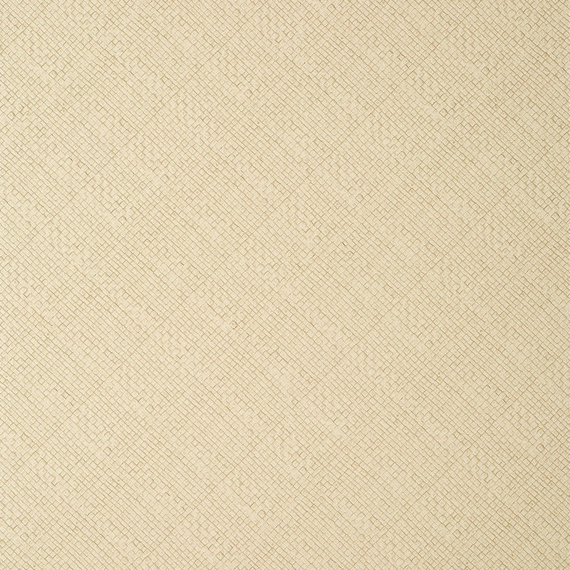 T14503 Jackson Weave Texture Resource 8 Cashmere Wallpaper by Thibaut