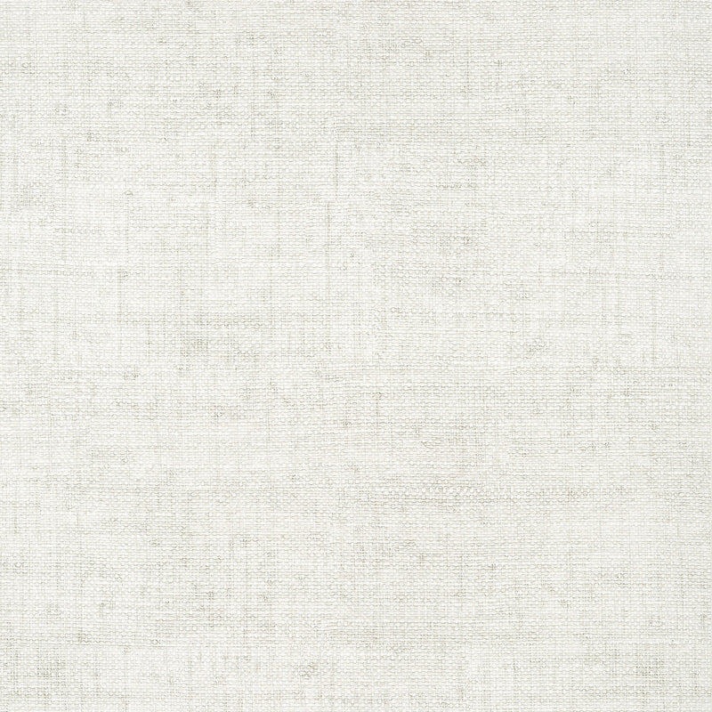 T14509 Bankun Raffia Texture Resource 8 Dove Wallpaper by Thibaut