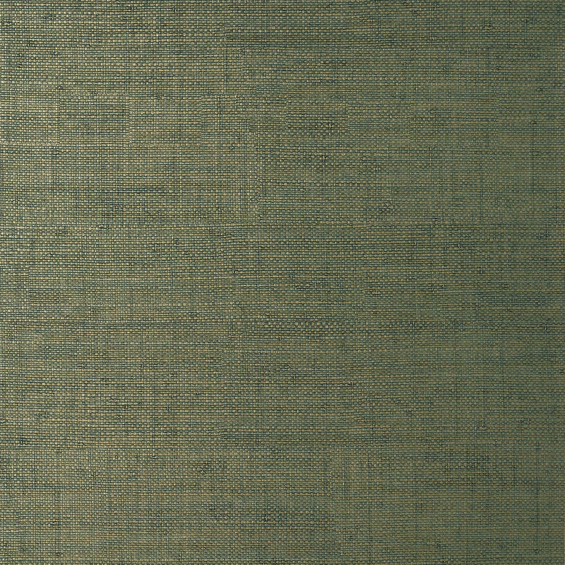 T14513 Bankun Raffia Texture Resource 8 Forest Wallpaper by Thibaut