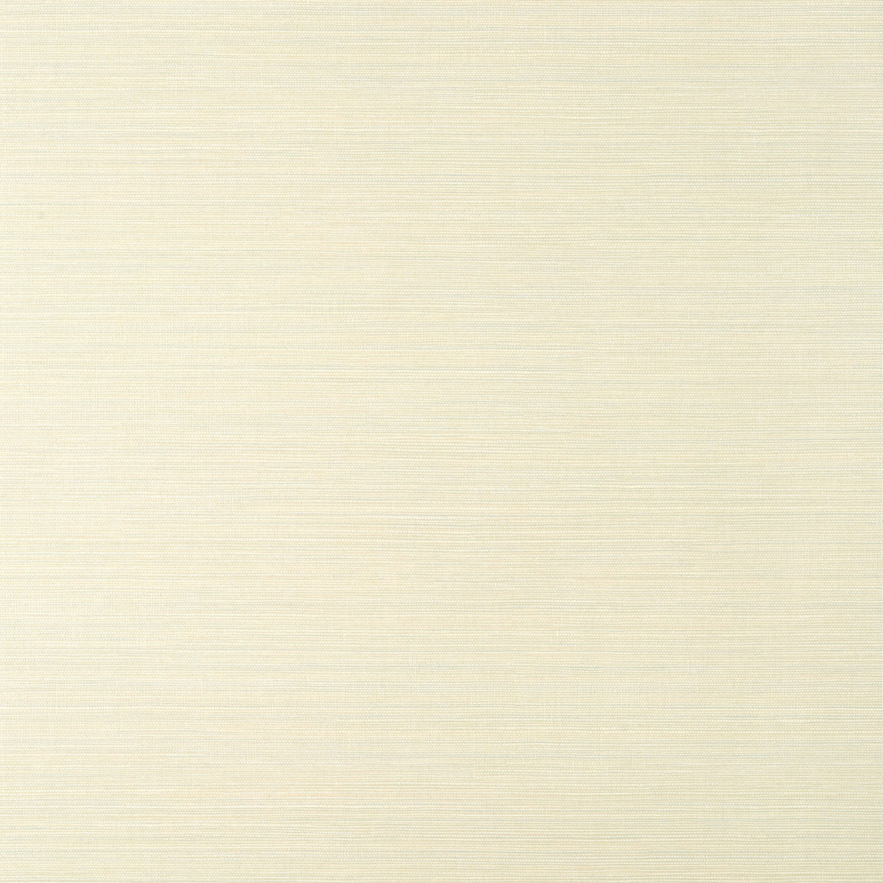 T14523 Luta Sisal Texture Resource 8 White/Mist Wallpaper by Thibaut