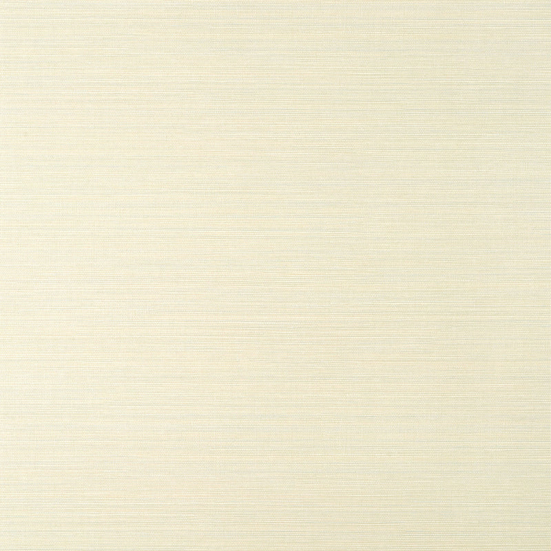 T14523 Luta Sisal Texture Resource 8 White/Mist Wallpaper by Thibaut