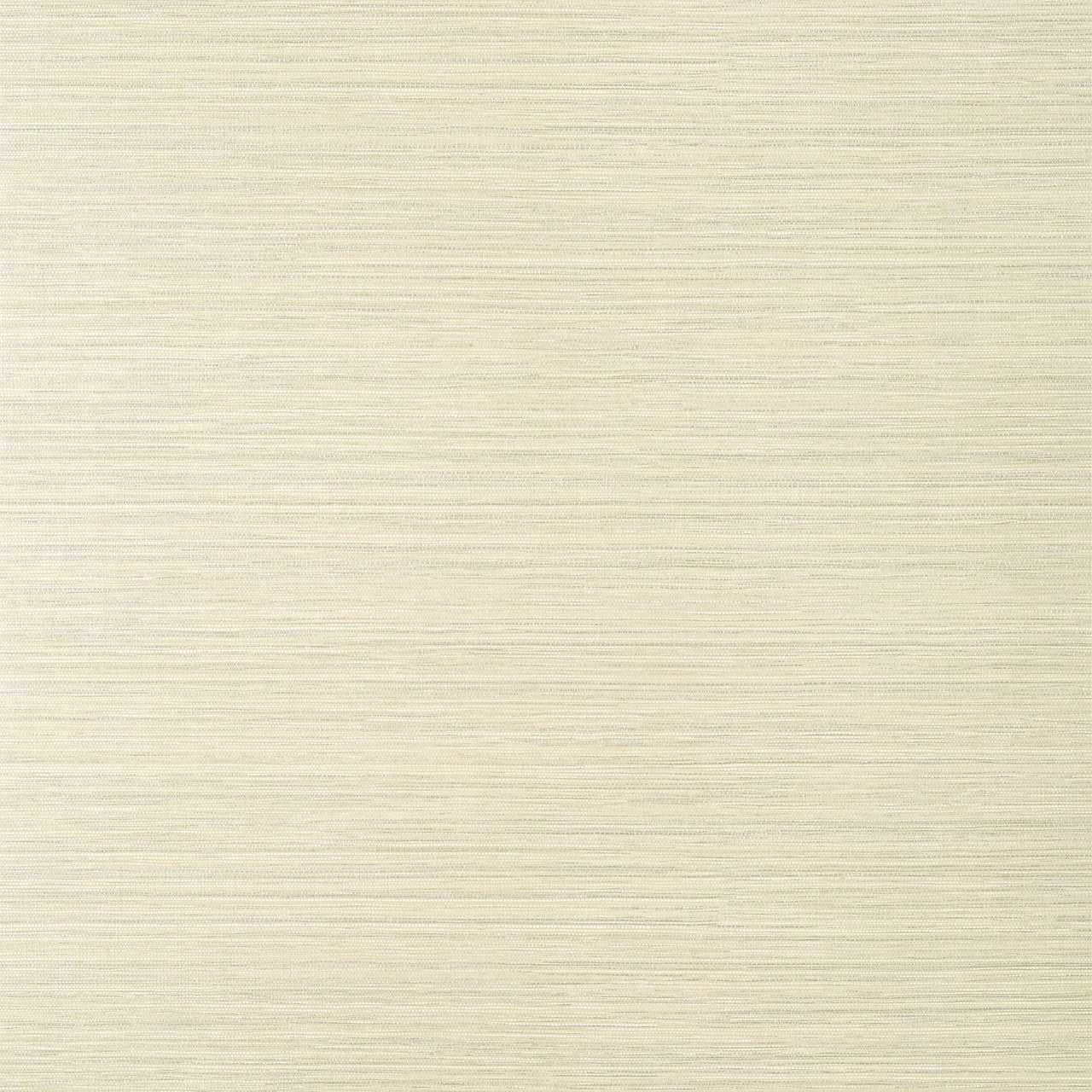 T14525 Luta Sisal Texture Resource 8 Beige/Metallic Silver Wallpaper by Thibaut