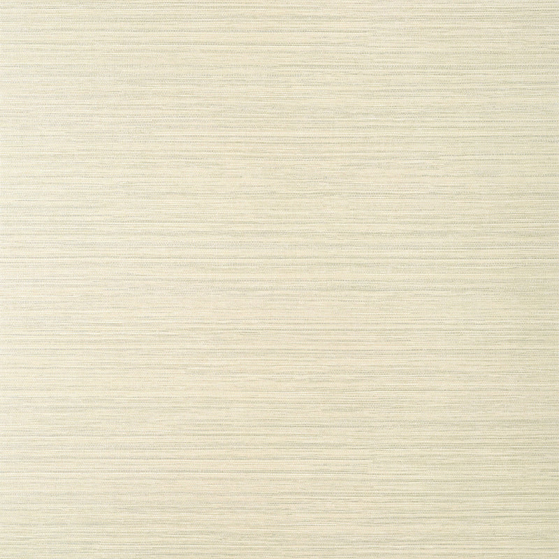 T14525 Luta Sisal Texture Resource 8 Beige/Metallic Silver Wallpaper by Thibaut