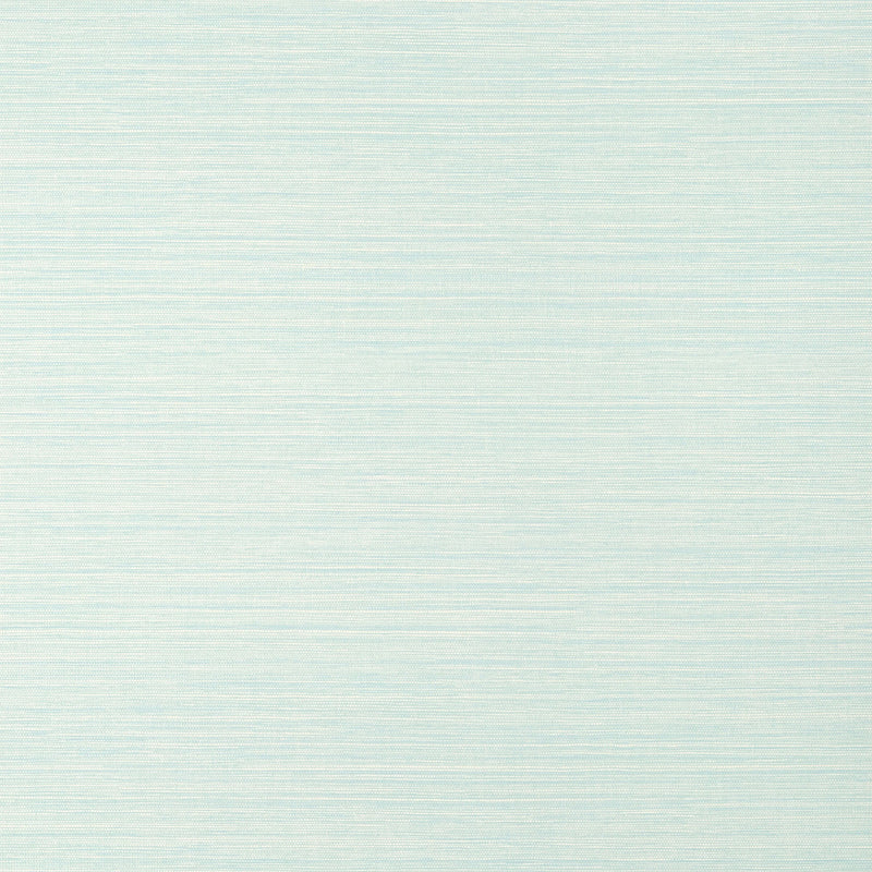 T14528 Luta Sisal Texture Resource 8 Mist Wallpaper by Thibaut