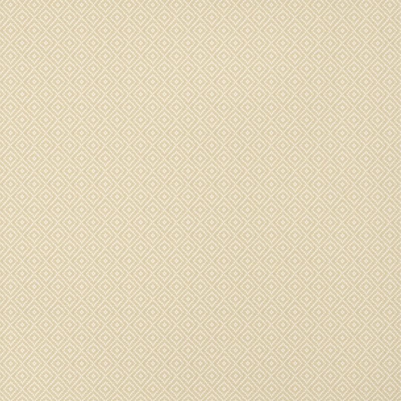 T14539 Rimba Texture Resource 8 Camel Wallpaper by Thibaut