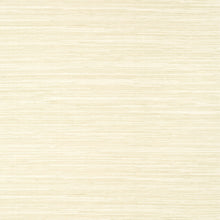 T14547 Normandy Texture Resource 8 Beige Wallpaper by Thibaut