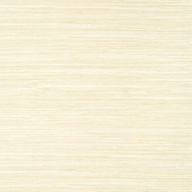 T14547 Normandy Texture Resource 8 Beige Wallpaper by Thibaut