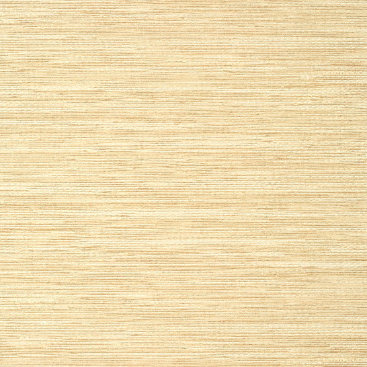 T14548 Normandy Texture Resource 8 Straw Wallpaper by Thibaut