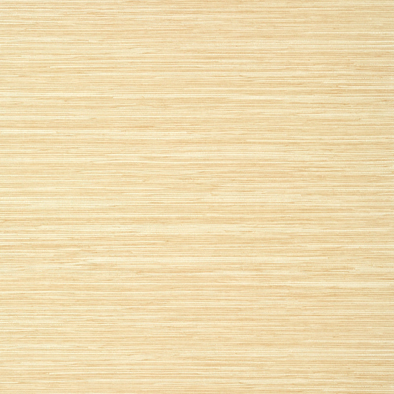 T14548 Normandy Texture Resource 8 Straw Wallpaper by Thibaut