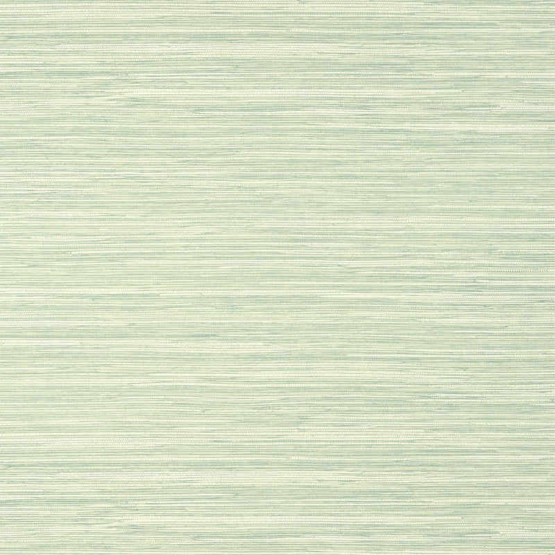T14552 Normandy Texture Resource 8 Celadon Wallpaper by Thibaut
