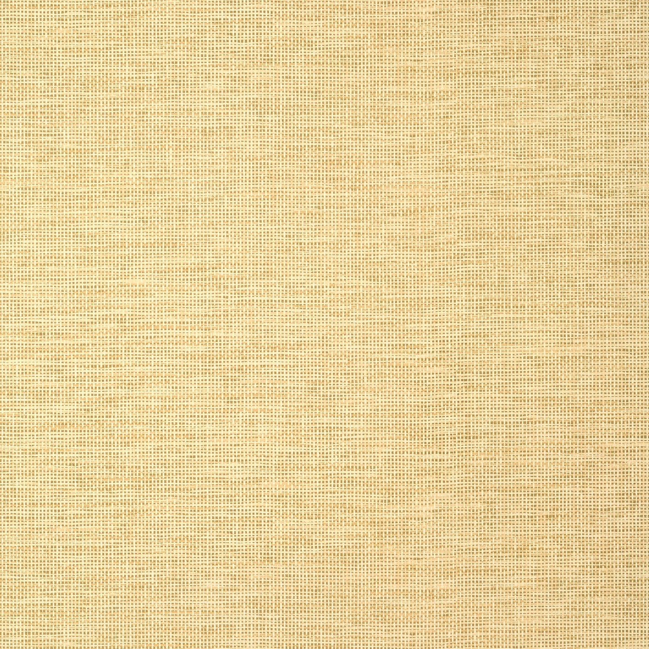 T14564 Spiro Texture Resource 8 Straw Wallpaper by Thibaut