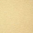 T14564 Spiro Texture Resource 8 Straw Wallpaper by Thibaut