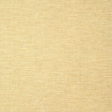 T14564 Spiro Texture Resource 8 Straw Wallpaper by Thibaut
