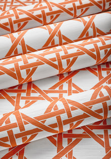 T15818 Canary Trellis Coral Islander Wallpaper by Thibaut