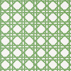 T15819 Canary Trellis Green Islander Wallpaper by Thibaut