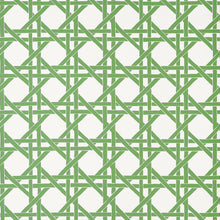 T15819 Canary Trellis Green Islander Wallpaper by Thibaut