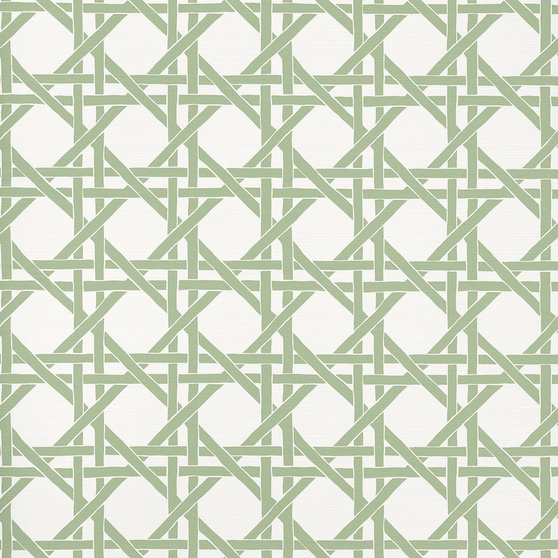 T15820 Canary Trellis Willow Islander Wallpaper by Thibaut