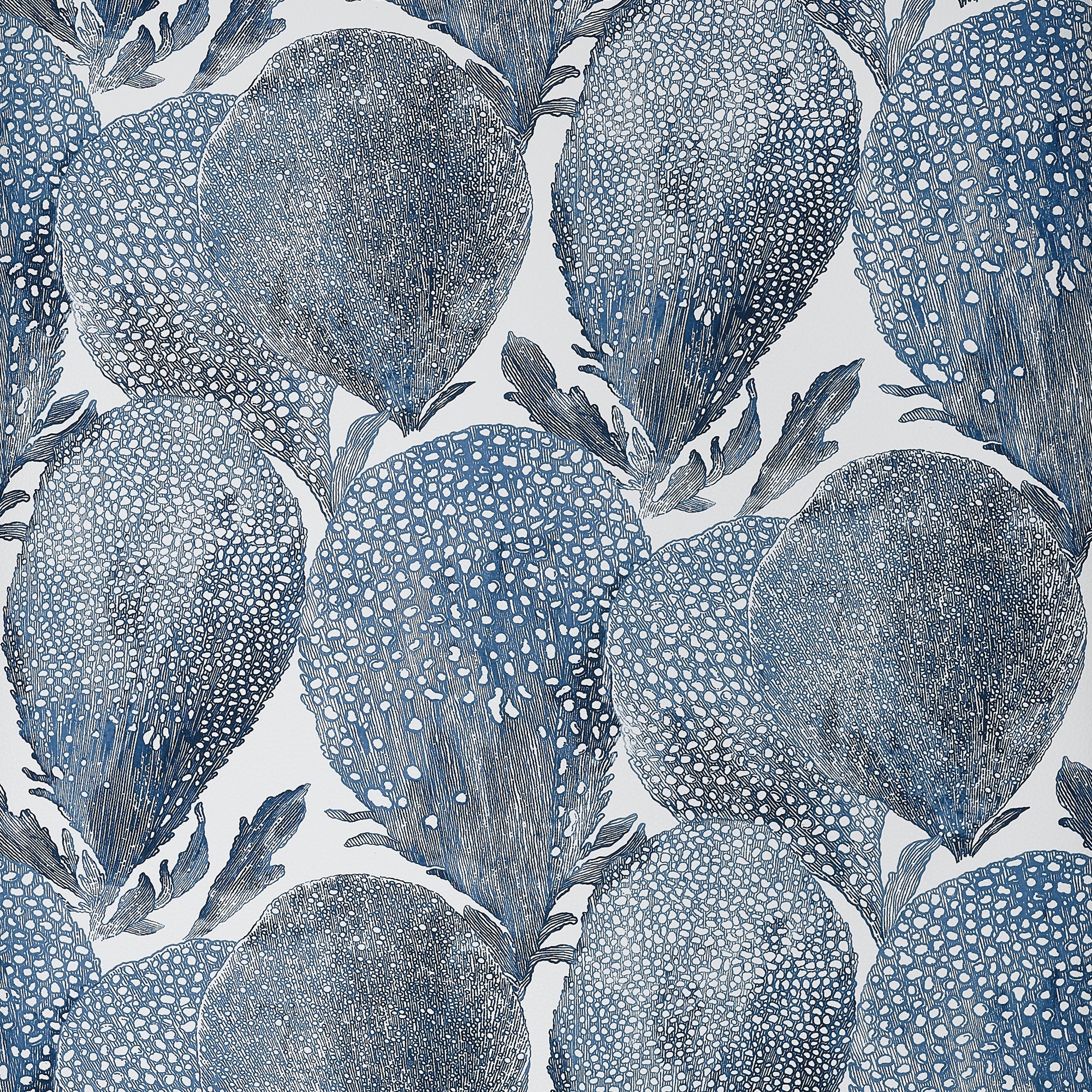 T15824 Under the Sea Navy Islander Wallpaper by Thibaut