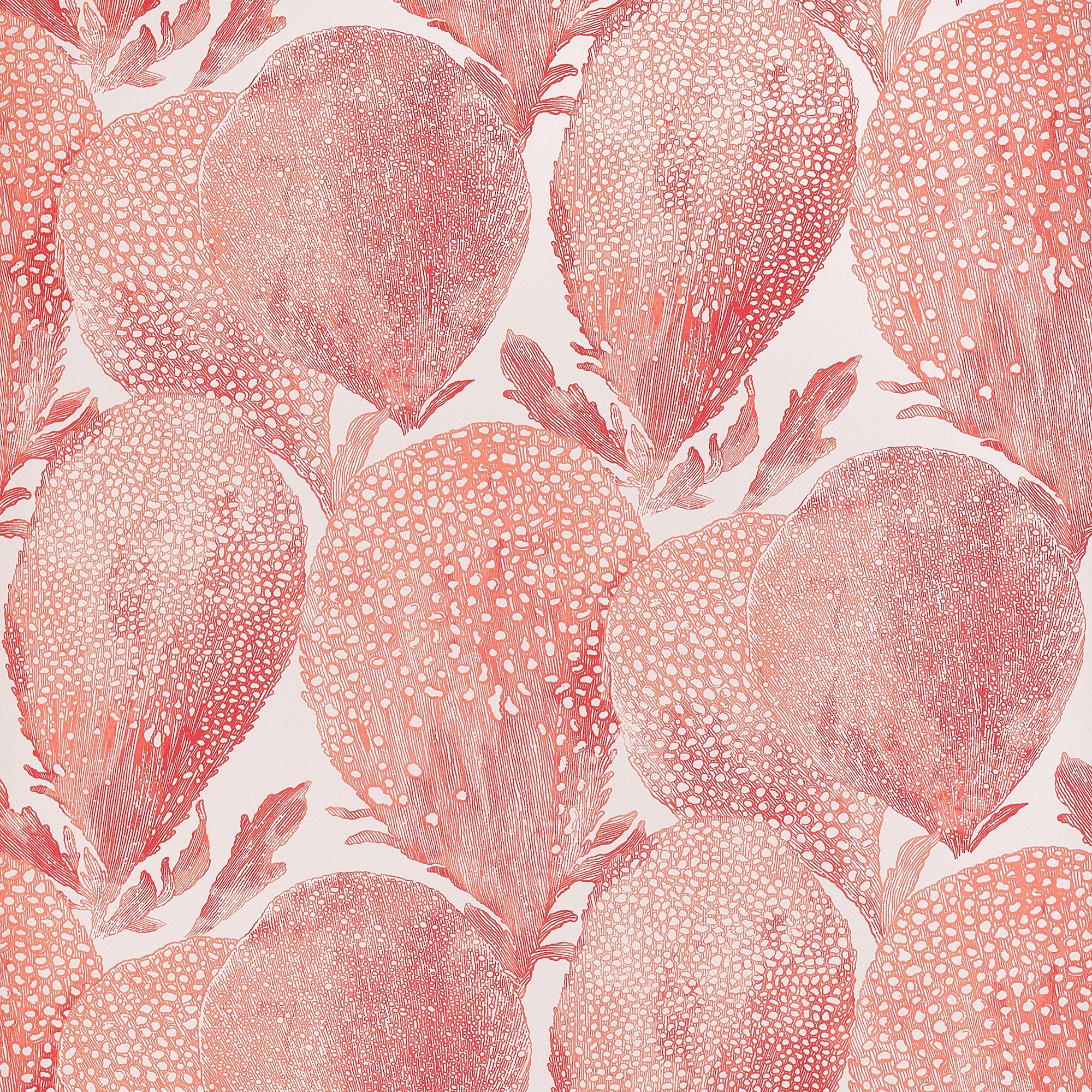 T15825 Under the Sea Coral Islander Wallpaper by Thibaut