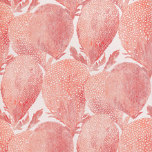 T15825 Under the Sea Coral Islander Wallpaper by Thibaut