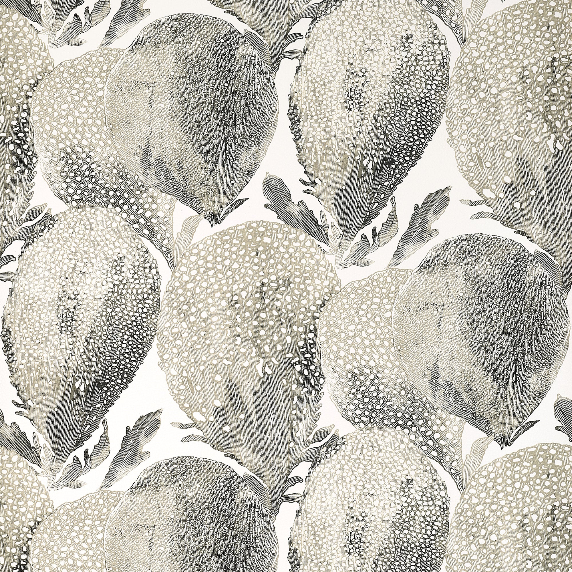 T15826 Under the Sea Black and White Islander Wallpaper by Thibaut