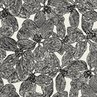 T15848 Island Orchid Black and White Islander Wallpaper by Thibaut