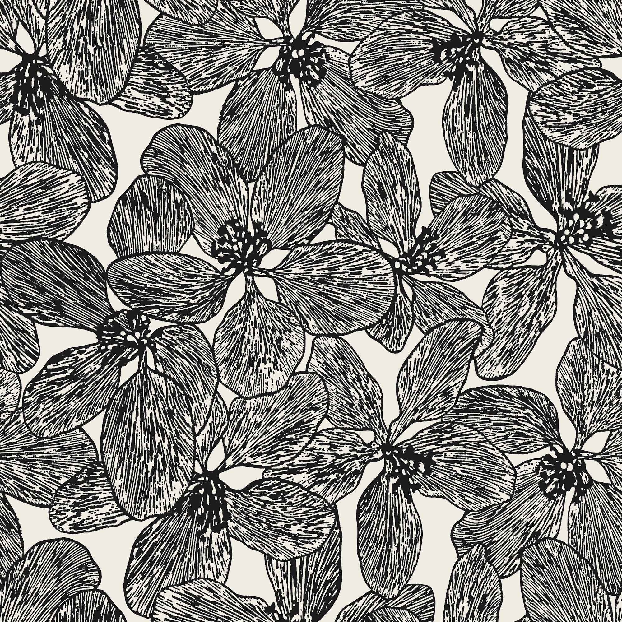 T15848 Island Orchid Black and White Islander Wallpaper by Thibaut
