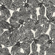 Island Orchid Black and White Islander Wallpaper by Thibaut
