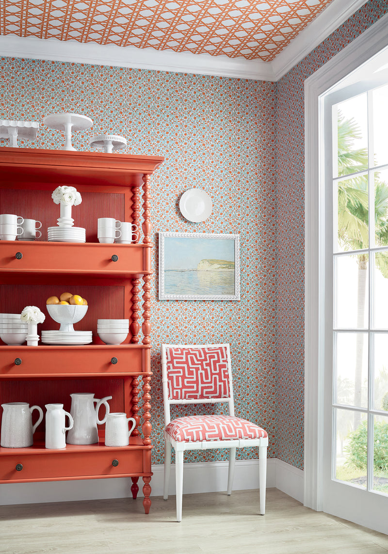 T15857 Sand Dollar Coral and Blue Islander Wallpaper by Thibaut
