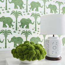 T16201 Elephant Kismet Green Wallpaper by Thibaut