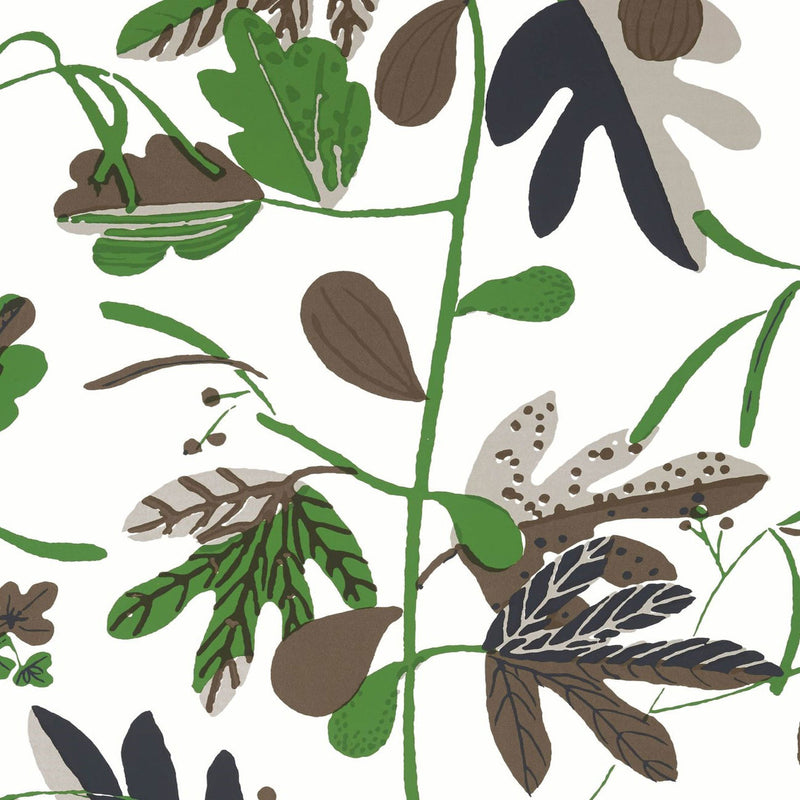 T16208 Matisse Leaf Kismet Black and Green Wallpaper by Thibaut