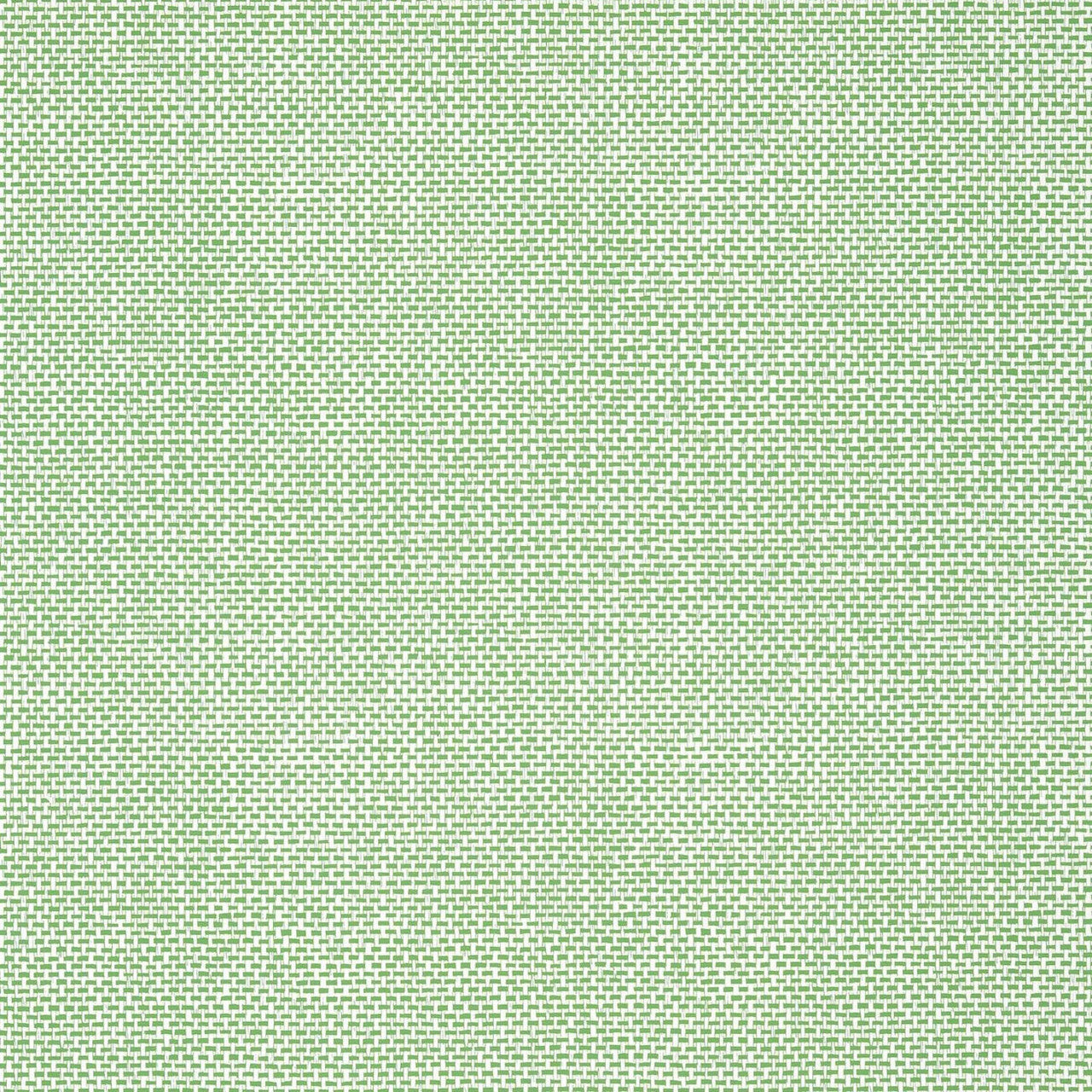 T16261 Palawan Kismet Green Wallpaper by Thibaut