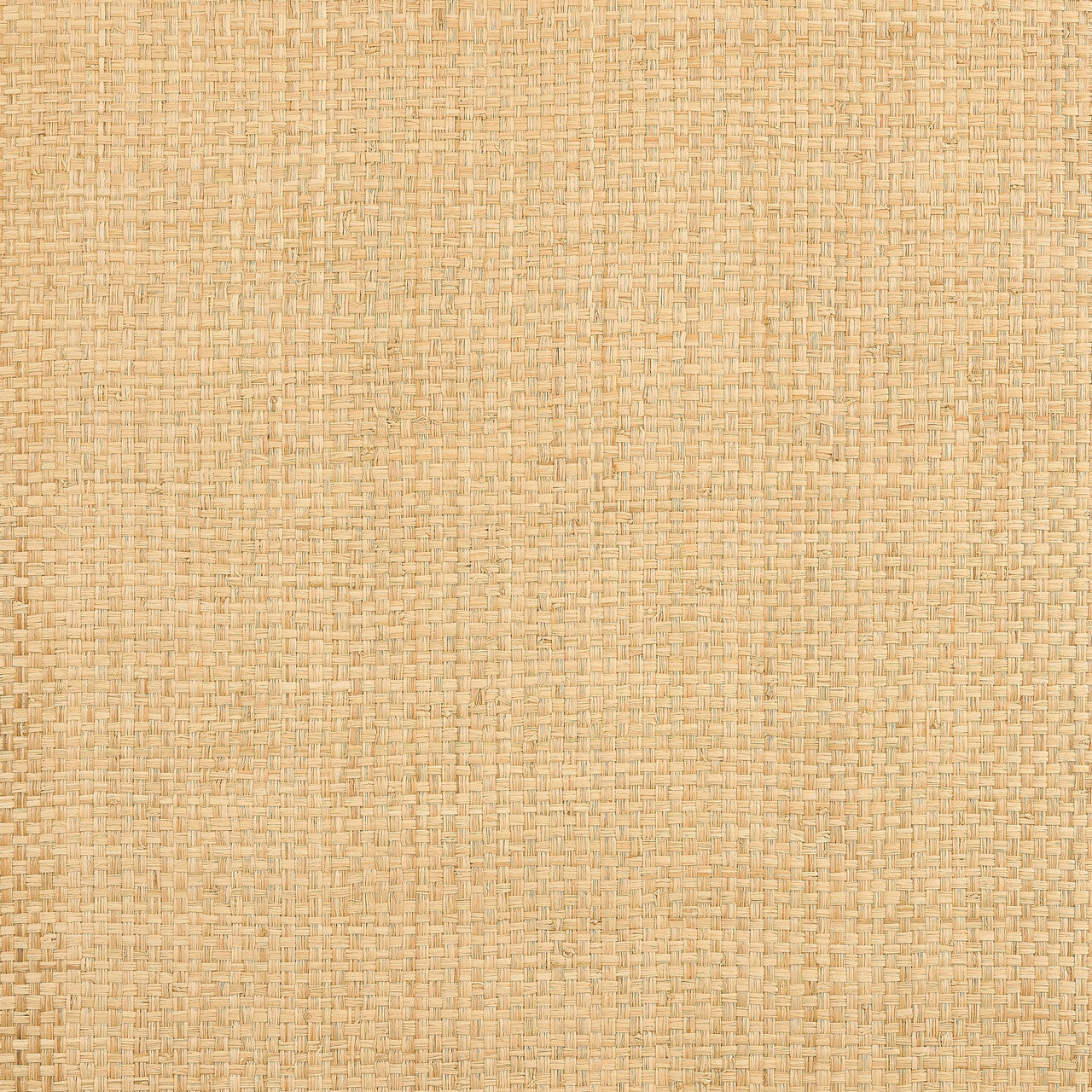 T19603 Lauderdale Grasscloth Resource Volume 6 Natural Wallpaper by Thibaut