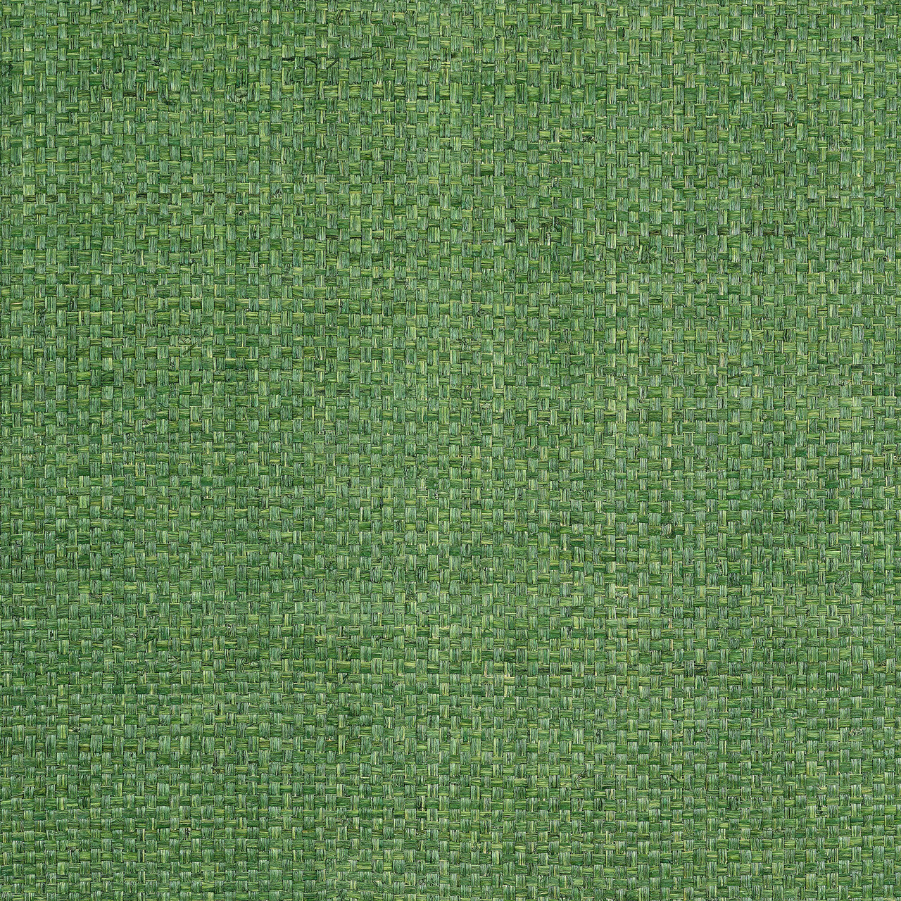 T19607 Lauderdale Grasscloth Resource Volume 6 Green Wallpaper by Thibaut