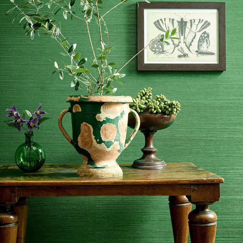 T19612 Shang Extra Fine Sisal Grasscloth Resource Volume 6 Emerald Green Wallpaper by Thibaut