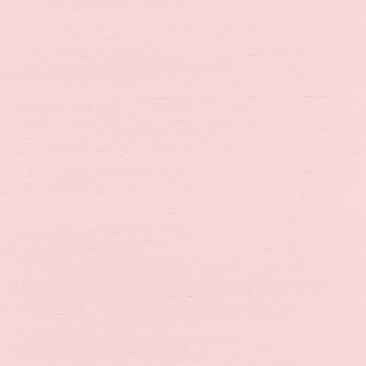 T19626 Shang Extra Fine Sisal Grasscloth Resource Volume 6 Shell Wallpaper by Thibaut