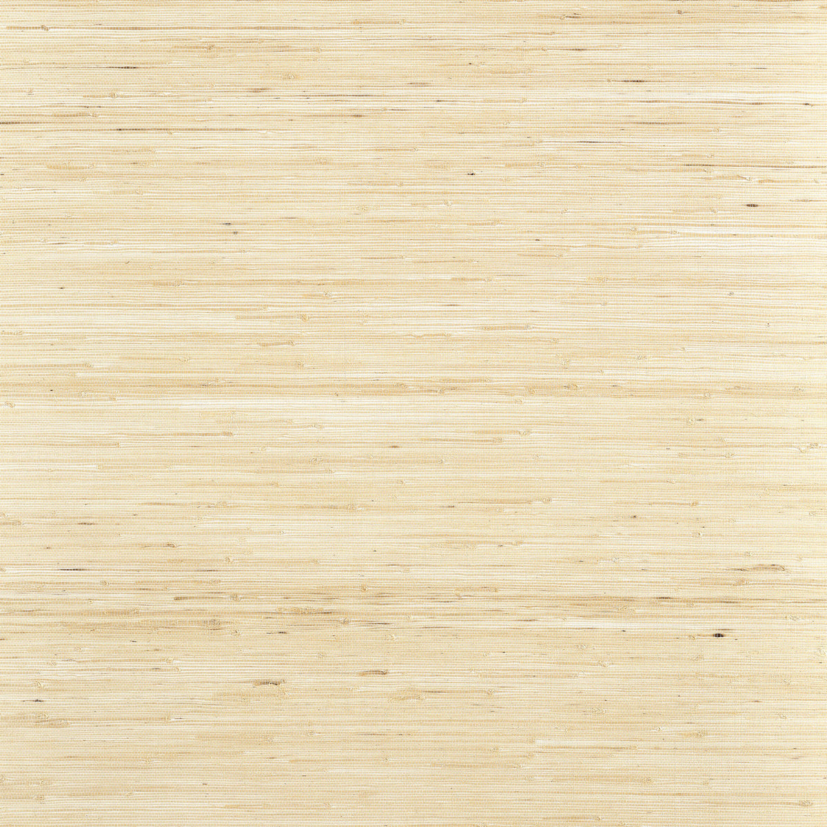 Sydney Grasscloth Resource Volume 6 Paperwhite Wallpaper by Thibaut