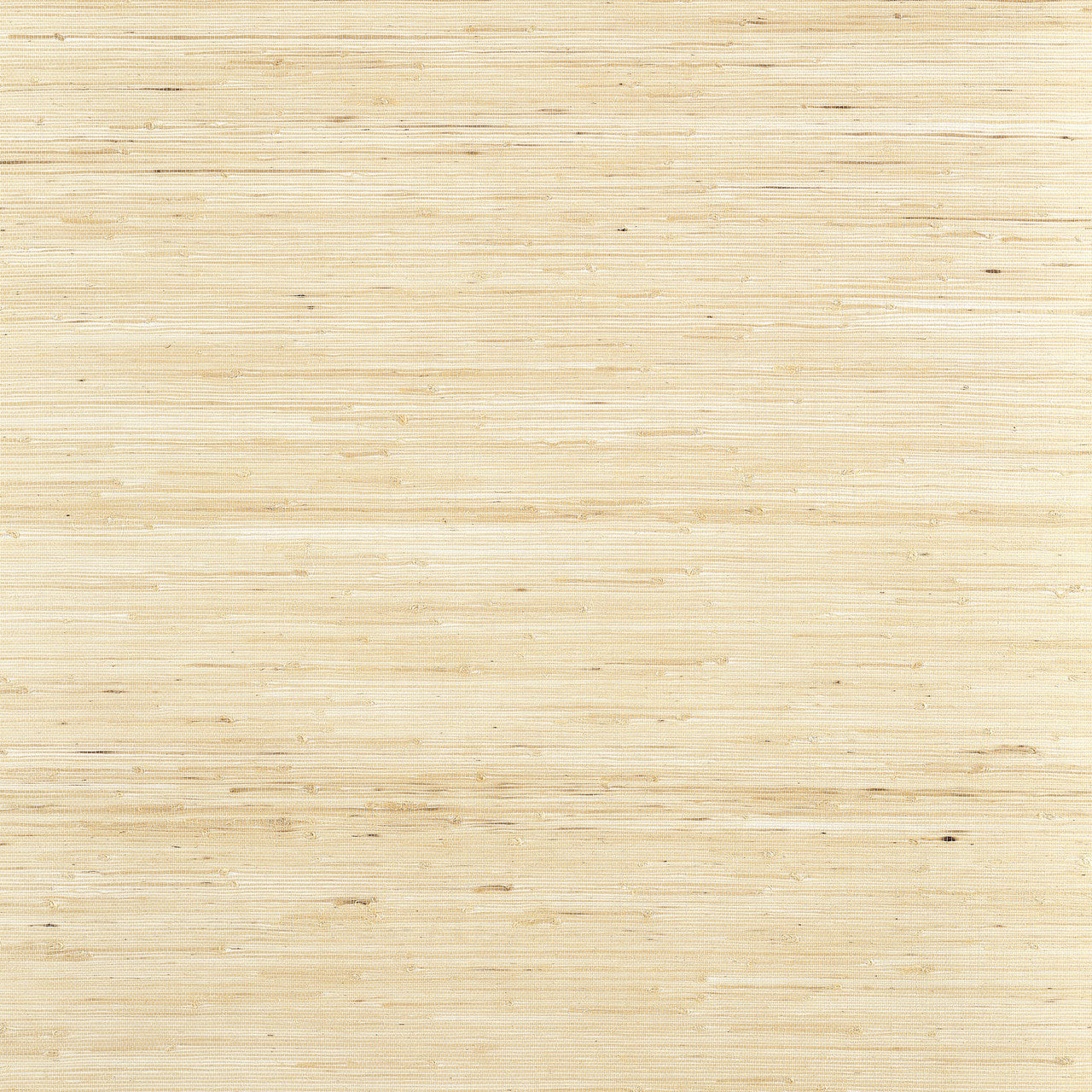 T19653 Sydney Grasscloth Resource Volume 6 Paperwhite Wallpaper by Thibaut