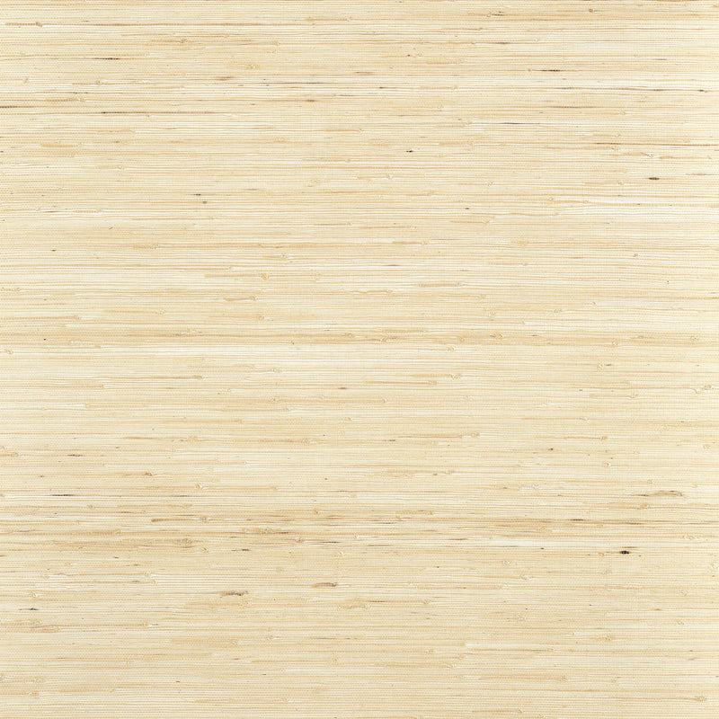 T19653 Sydney Grasscloth Resource Volume 6 Paperwhite Wallpaper by Thibaut