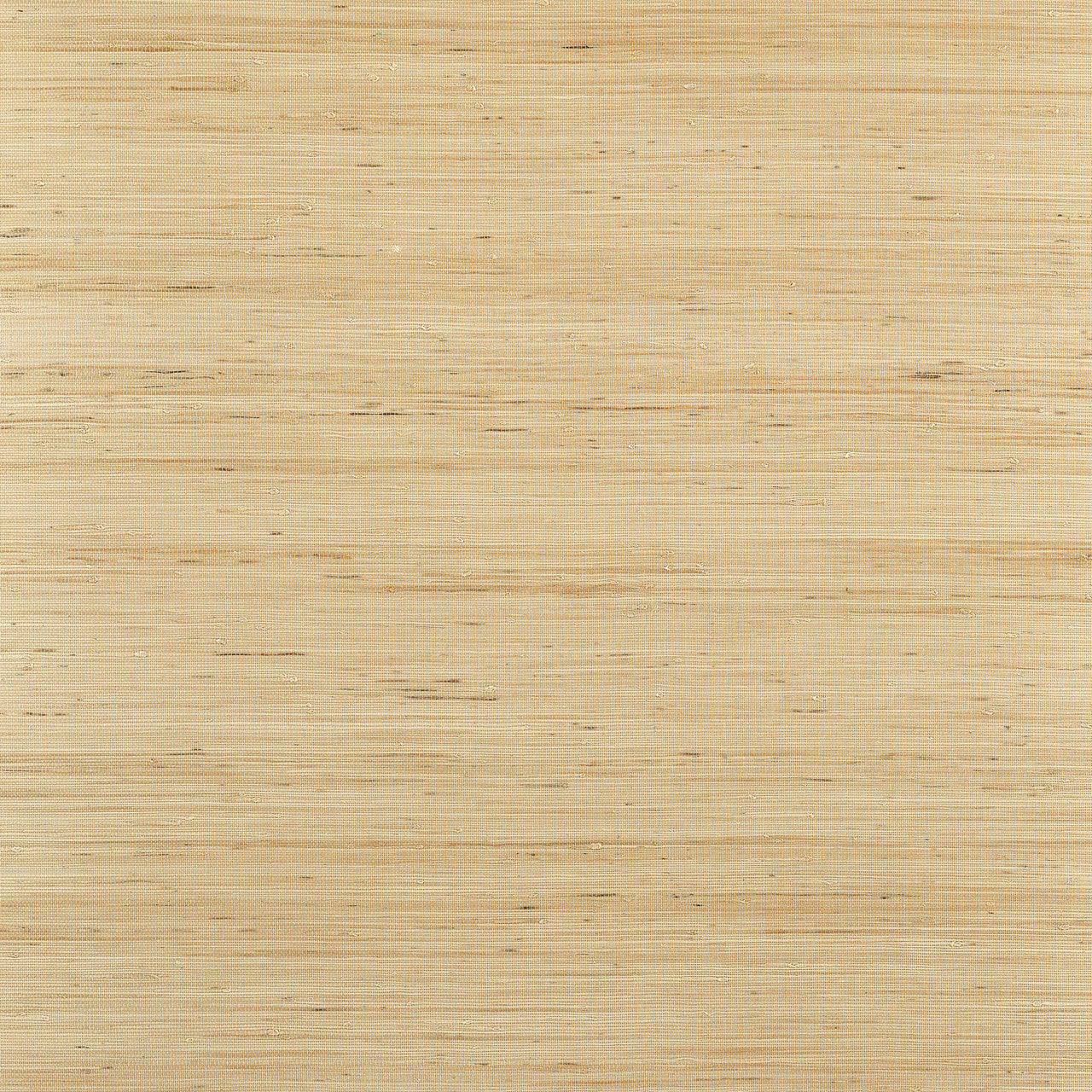 T19654 Sydney Grasscloth Resource Volume 6 Taupe Wallpaper by Thibaut